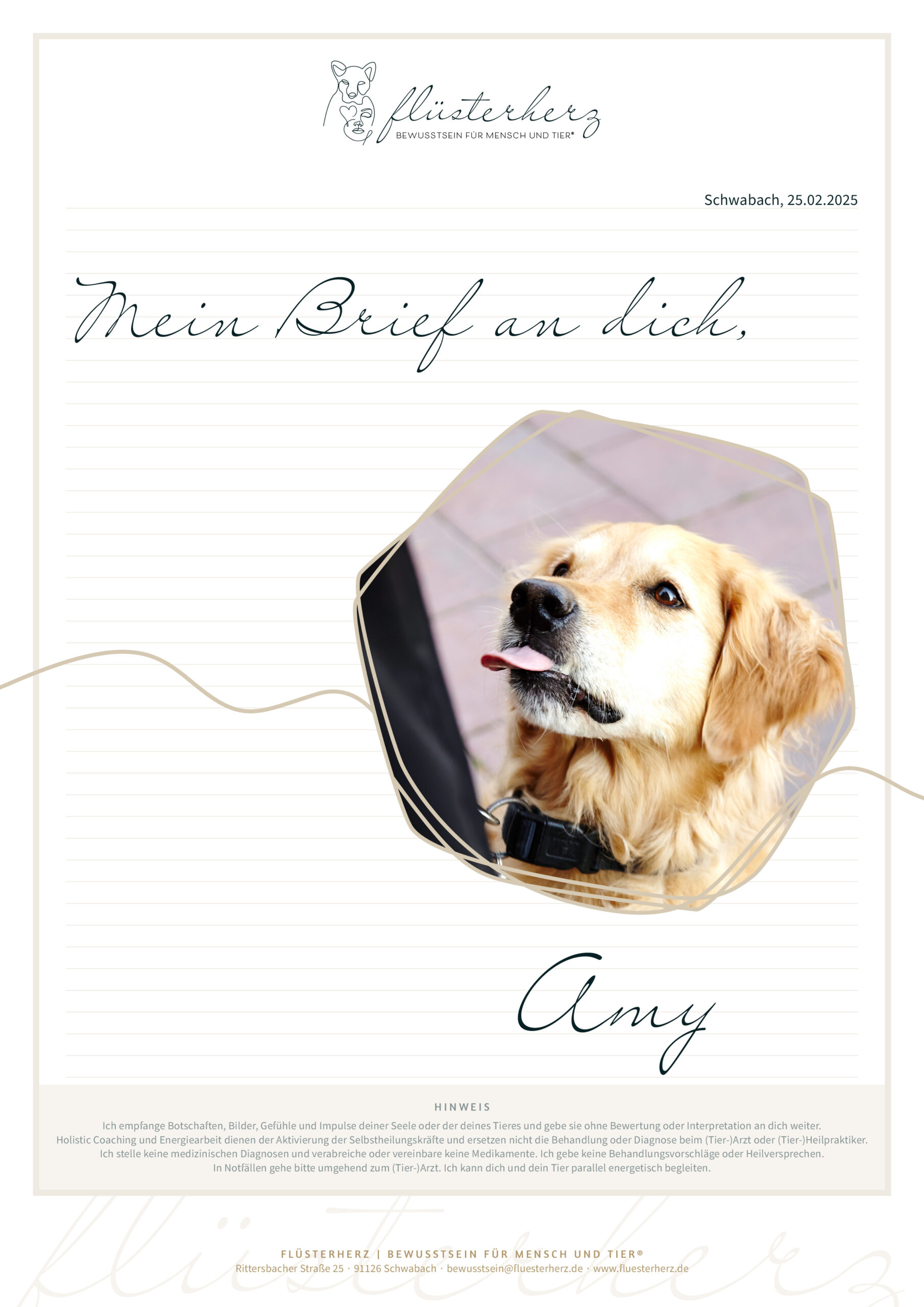 Flüsterherz – Mein Brief an dich, Amy