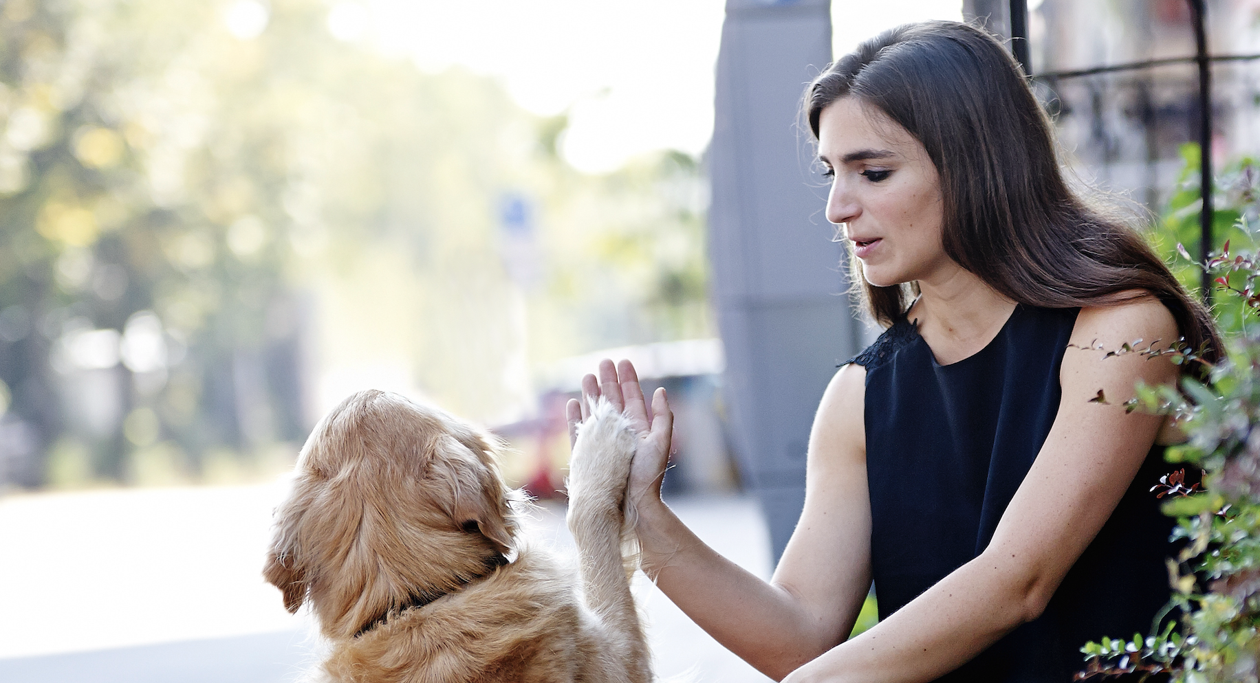 handauflegen-mensch-tier
