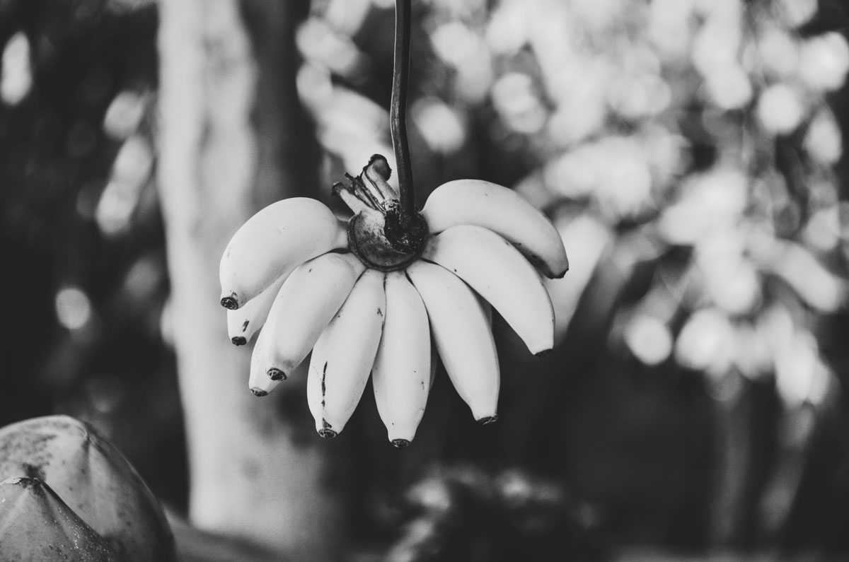 integration-hormone-ernaehrung