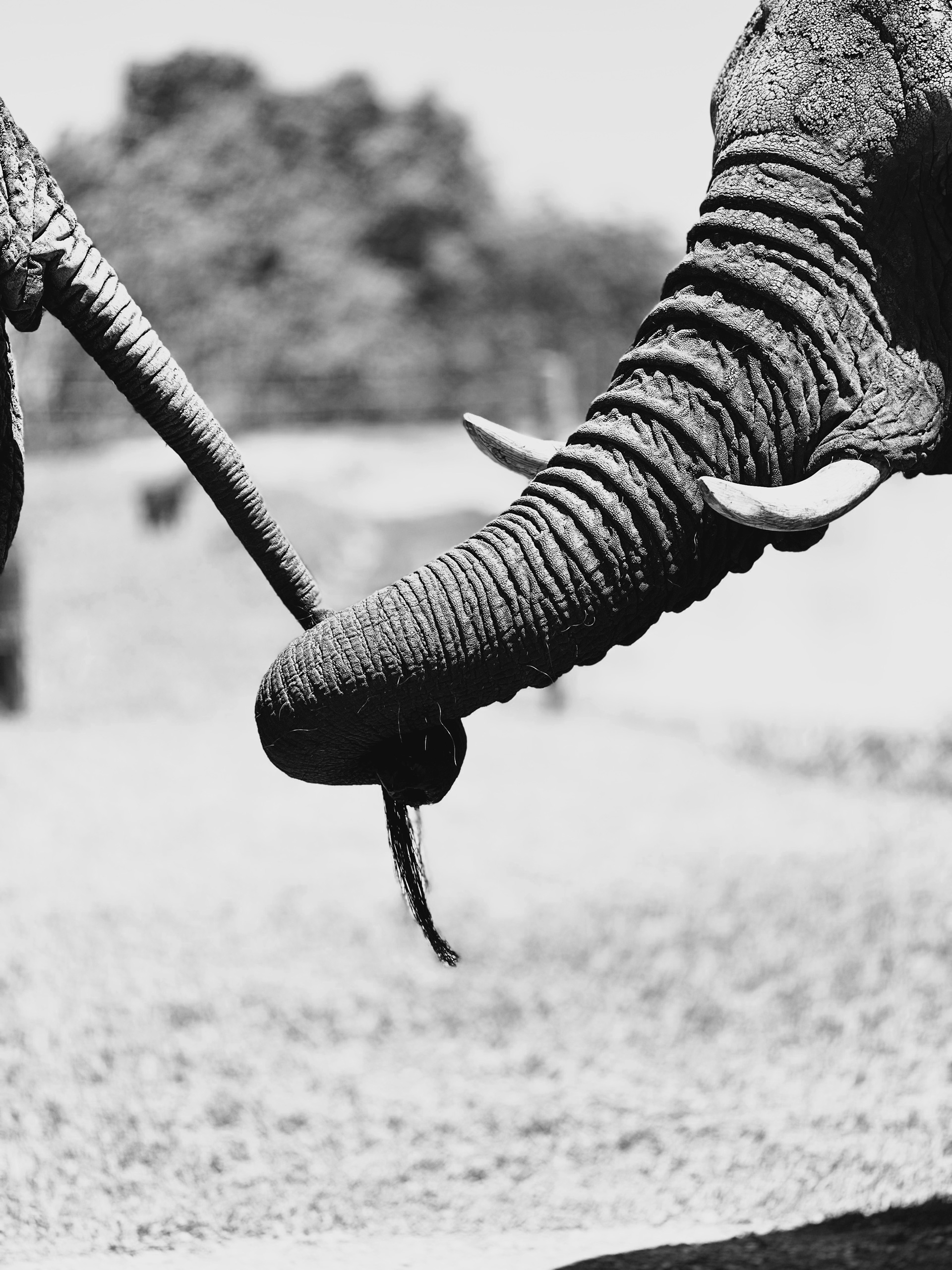 Einheit und Verbundenheit